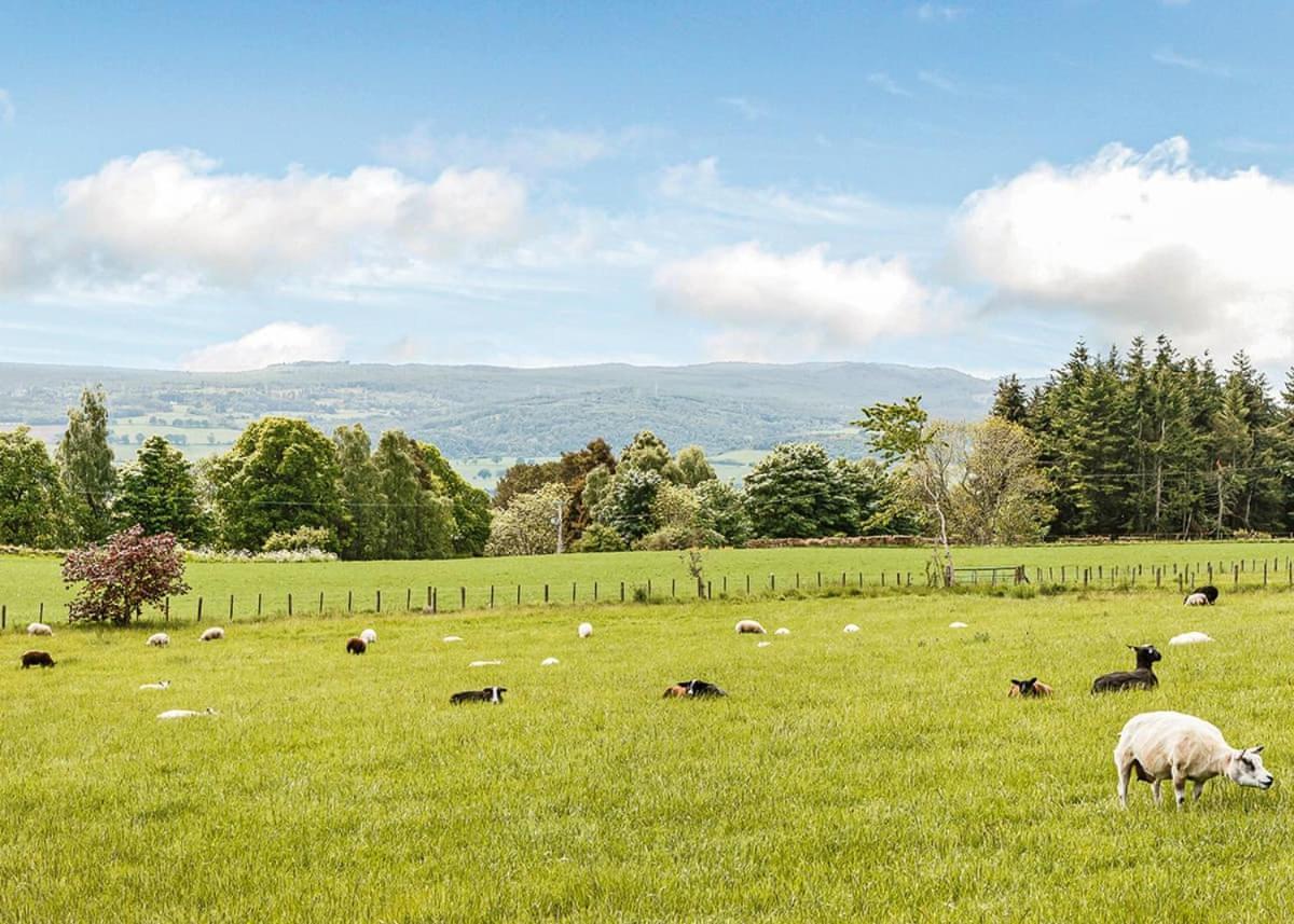 Kessock Highland Lodges North Kessock Eksteriør bilde